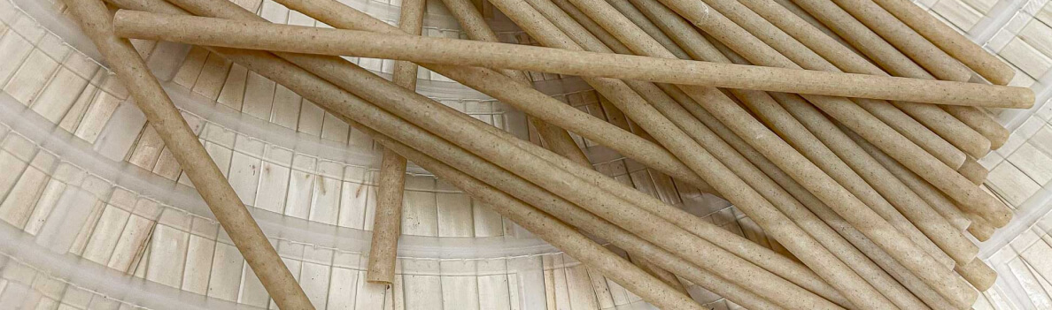 Sugarcane Straws